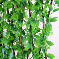 uploads/erp/collection/images/Home Garden/CongDing/XU0611702/img_b/XU0611702_img_b_1